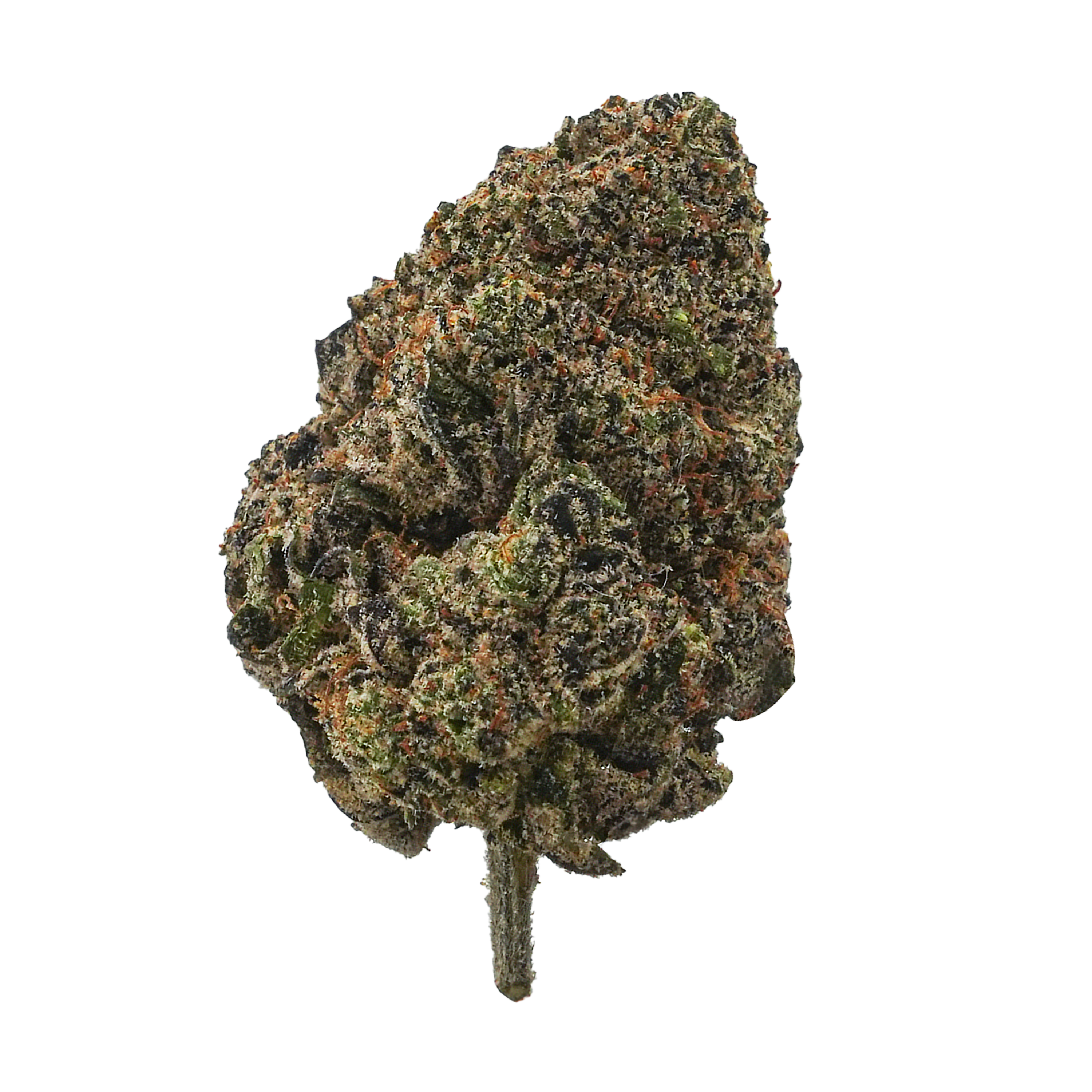 Lemon Kush